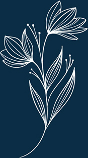 Feuilles carte cadeau